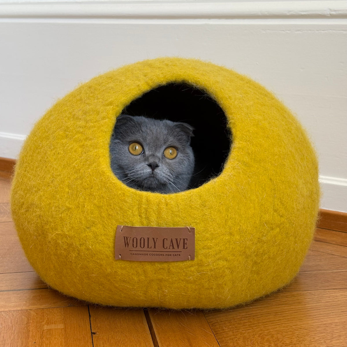 Round Cat Caves