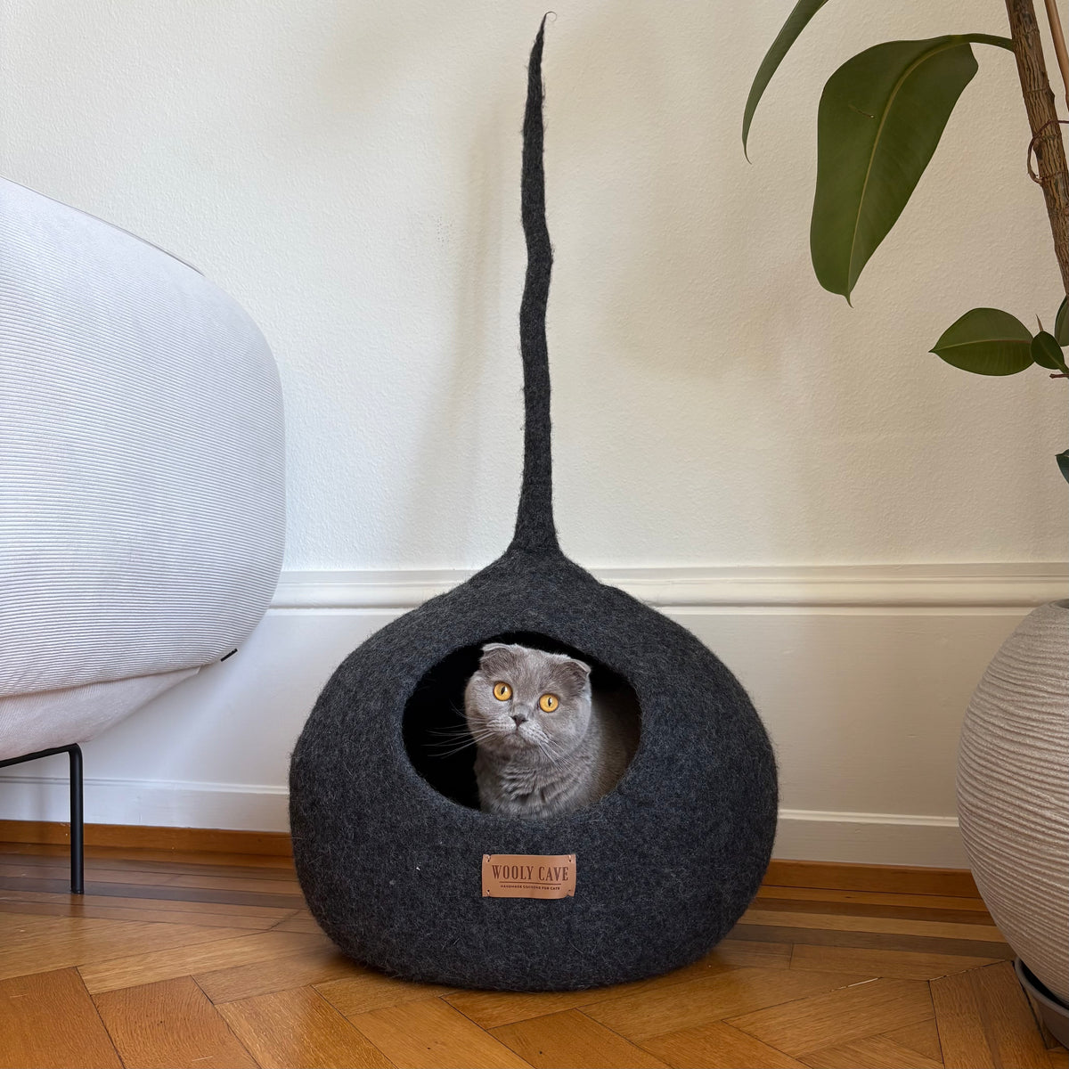 Tail Cat Caves