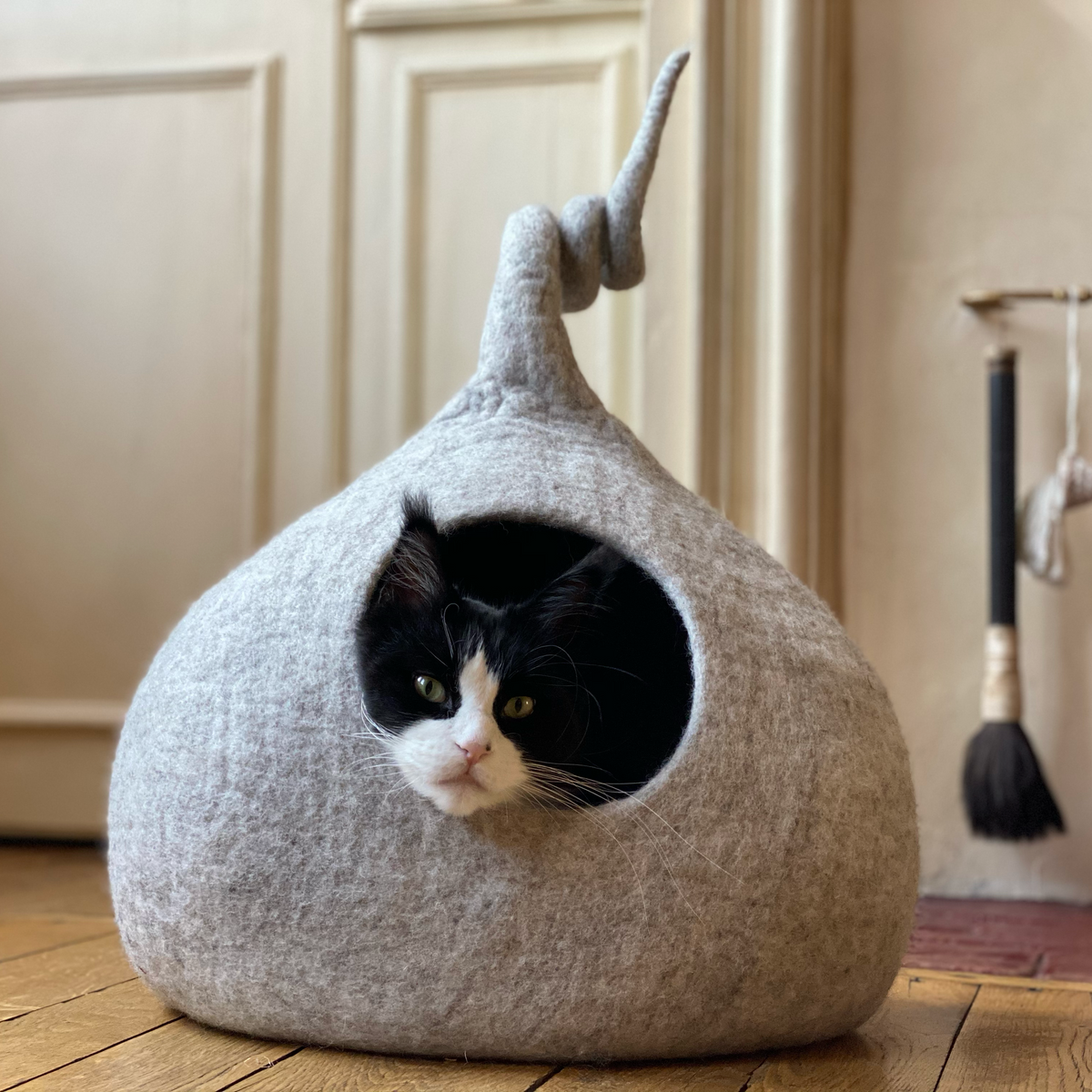 Tail Cat Caves