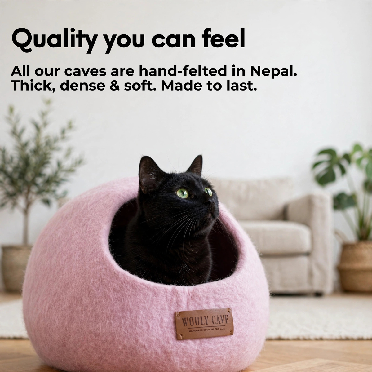Round Cat Caves