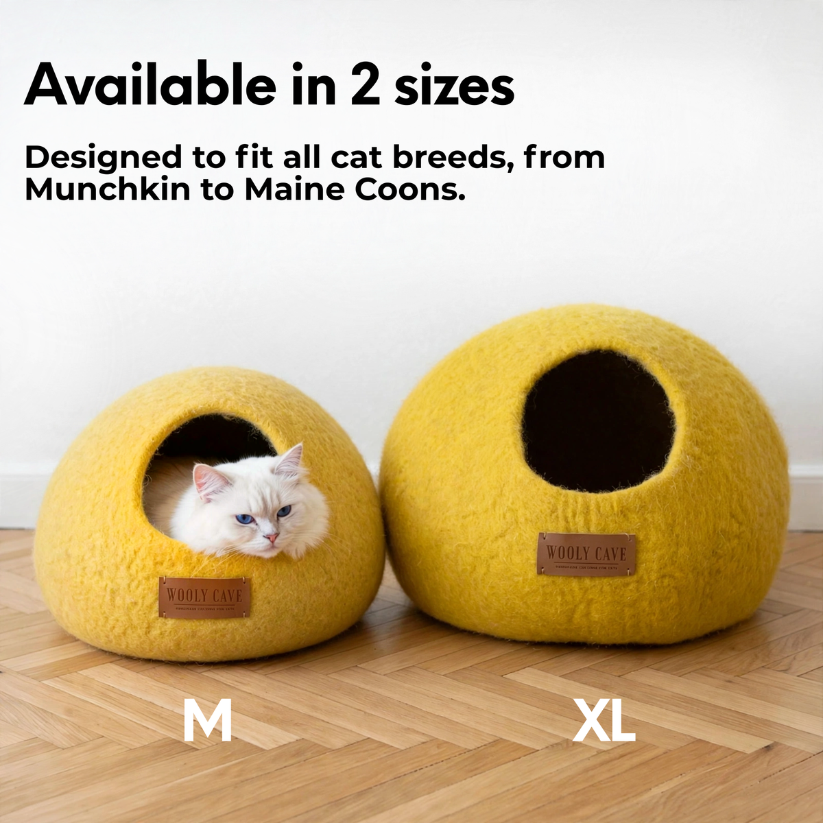 Round Cat Caves