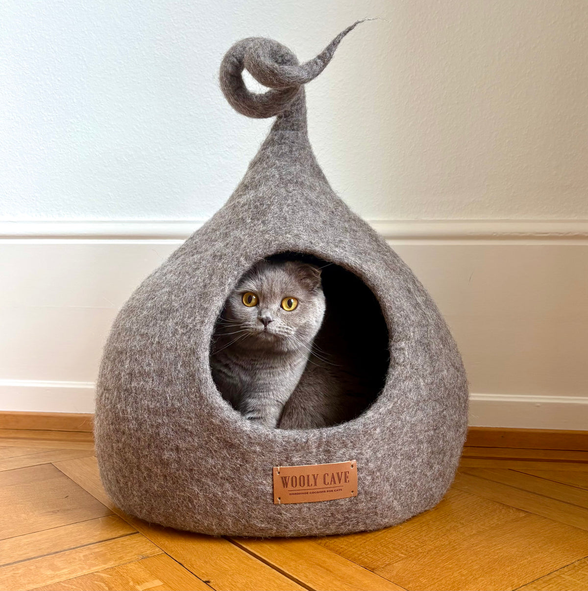 Tail Cat Caves