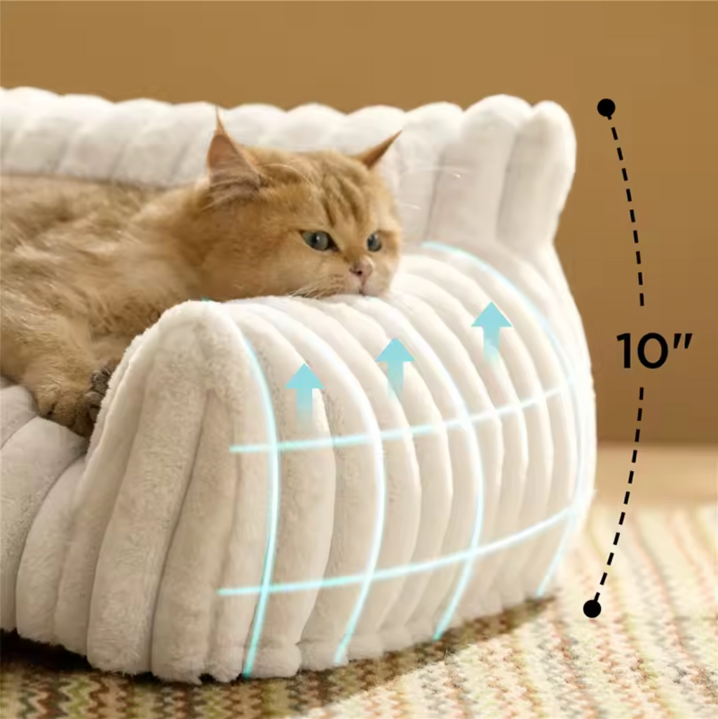 The Cloud Sofa