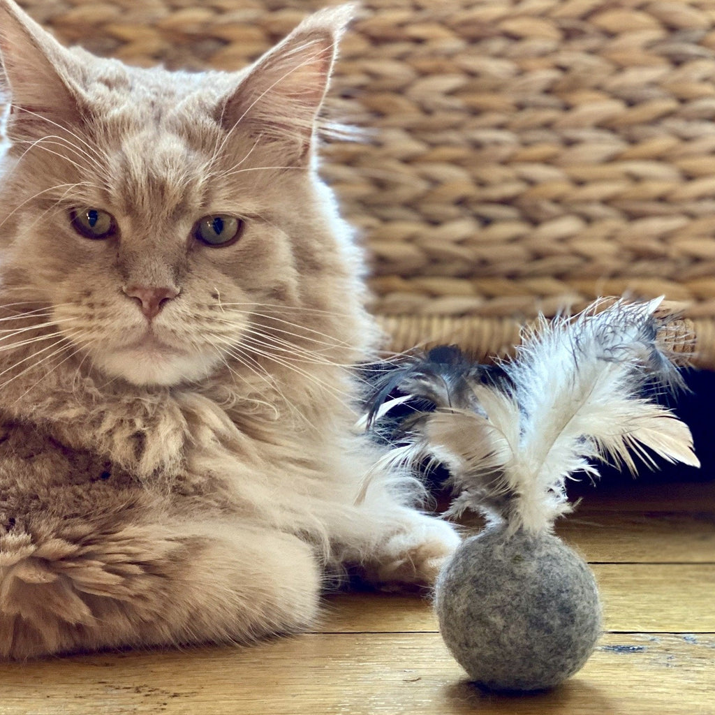 Cat toy: Wool balls with feathers & bell