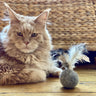 FREE GIFT: Wool balls with feathers & bell
